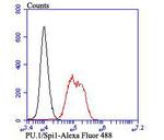 PU.1 Antibody in Flow Cytometry (Flow)