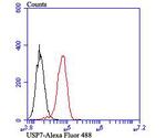 USP7 Antibody in Flow Cytometry (Flow)