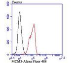 MCM3 Antibody in Flow Cytometry (Flow)