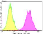 CaMKIV Antibody in Flow Cytometry (Flow)