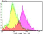 Arp3 Antibody in Flow Cytometry (Flow)