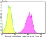 GPI Antibody in Flow Cytometry (Flow)