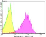 NDUFB8 Antibody in Flow Cytometry (Flow)