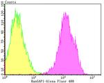 RANGAP1 Antibody in Flow Cytometry (Flow)