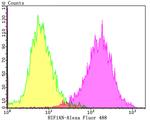 HIF1AN Antibody in Flow Cytometry (Flow)