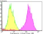 TPM1 Antibody in Flow Cytometry (Flow)