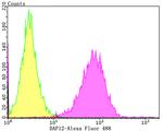 TYROBP Antibody in Flow Cytometry (Flow)