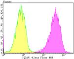 IQGAP1 Antibody in Flow Cytometry (Flow)