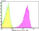 FKBP4 Antibody in Flow Cytometry (Flow)