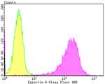 XPO5 Antibody in Flow Cytometry (Flow)