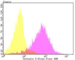 Syntaxin 3 Antibody in Flow Cytometry (Flow)