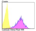 LUM Antibody in Flow Cytometry (Flow)