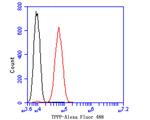 TPPP Antibody in Flow Cytometry (Flow)