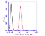 GSTK1 Antibody in Flow Cytometry (Flow)