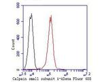 Calpain S1 Antibody in Flow Cytometry (Flow)