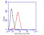 HSF2 Antibody in Flow Cytometry (Flow)