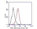 RSK1 Antibody in Flow Cytometry (Flow)