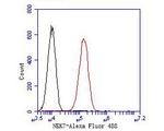 NEK7 Antibody in Flow Cytometry (Flow)