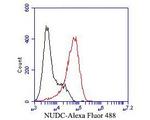 NUDC Antibody in Flow Cytometry (Flow)