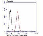 BHMT Antibody in Flow Cytometry (Flow)