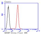 KHSRP Antibody in Flow Cytometry (Flow)