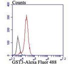 GSTP1 Antibody in Flow Cytometry (Flow)