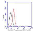 Thymidine Phosphorylase Antibody in Flow Cytometry (Flow)