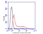 Cytokeratin 14 Antibody in Flow Cytometry (Flow)