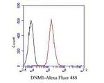 Dynamin 1 Antibody in Flow Cytometry (Flow)