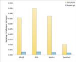 ELF3 Antibody in ChIP Assay (ChIP)