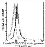 VEGF Receptor 2 Antibody in Flow Cytometry (Flow)