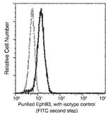 EphB3 Antibody in Flow Cytometry (Flow)