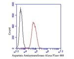 Aspartate Aminotransferase, Cytoplasmic Antibody in Flow Cytometry (Flow)