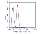 alpha Actinin Antibody in Flow Cytometry (Flow)