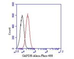 GAPDH Antibody in Flow Cytometry (Flow)