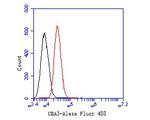 UBA3 Antibody in Flow Cytometry (Flow)