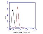 UBA3 Antibody in Flow Cytometry (Flow)