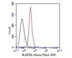 RAP80 Antibody in Flow Cytometry (Flow)