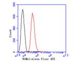 NuMA Antibody in Flow Cytometry (Flow)