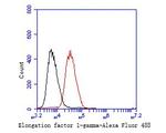 EEF1G Antibody in Flow Cytometry (Flow)