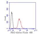 PAX2 Antibody in Flow Cytometry (Flow)