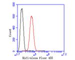 KLC1 Antibody in Flow Cytometry (Flow)