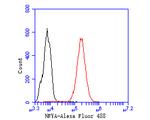 NFYA Antibody in Flow Cytometry (Flow)