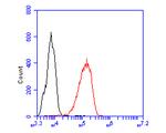 PEX19 Antibody in Flow Cytometry (Flow)