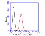 P4HB Antibody in Flow Cytometry (Flow)