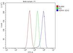 HSPH1 Antibody in Flow Cytometry (Flow)