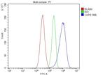 COPE Antibody in Flow Cytometry (Flow)