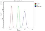 COPE Antibody in Flow Cytometry (Flow)