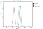 CLPX Antibody in Flow Cytometry (Flow)