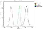 HMG4 Antibody in Flow Cytometry (Flow)